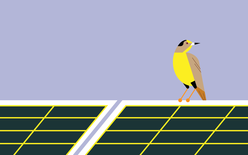 fotovoltaico e biodiversità